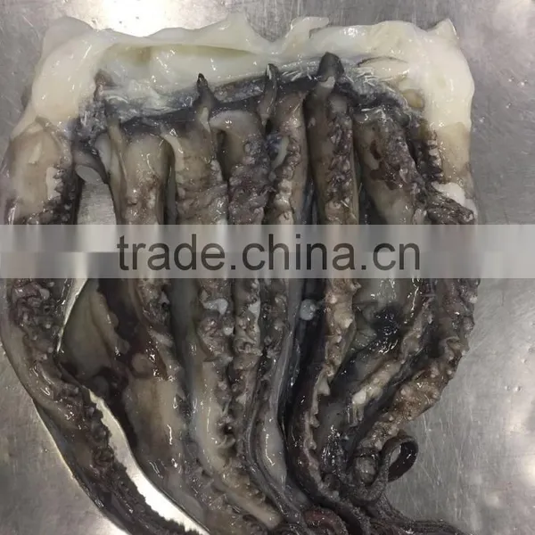 For BBQ 2-4 Kgs Frozen Giant Squid Tentacles photo-3