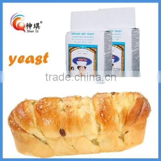 Bakery Yeast Cake Yeast Bread Yeast in China photo-3