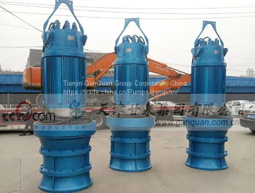 Axial Flow Pump (Submersible Propeller Pump) photo-2
