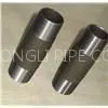 Stainless Steel NPT/BSP Barrel Nipple