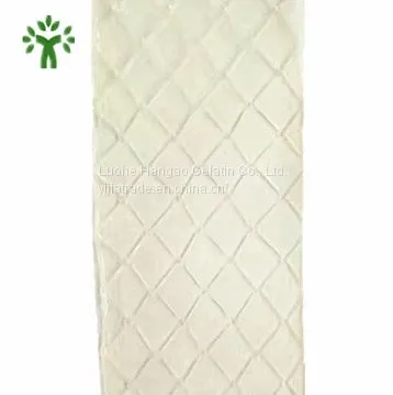 Gelatin Sheet