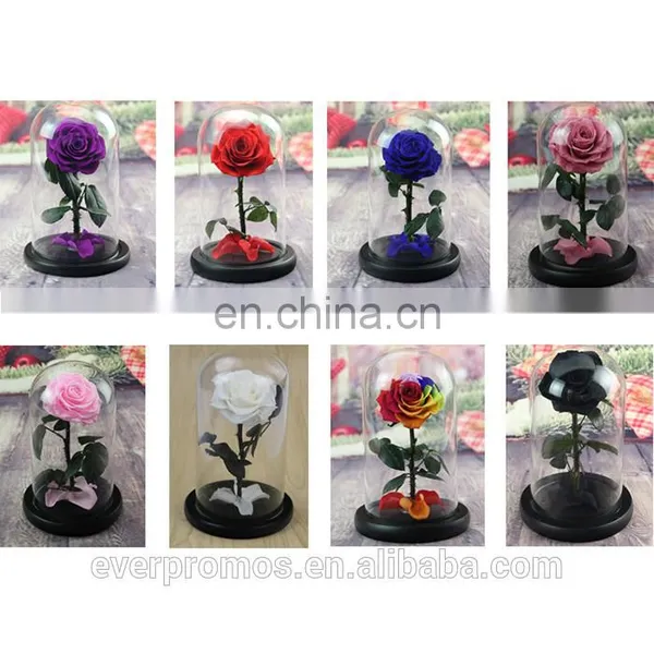 Preserved Real Flowers Natural Fresh Glass Dome Wooden Base Glass Cover for Rose