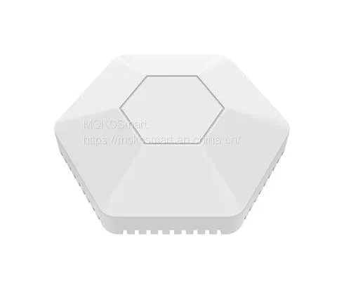 BLE & LoRaWAN Sensor photo-2