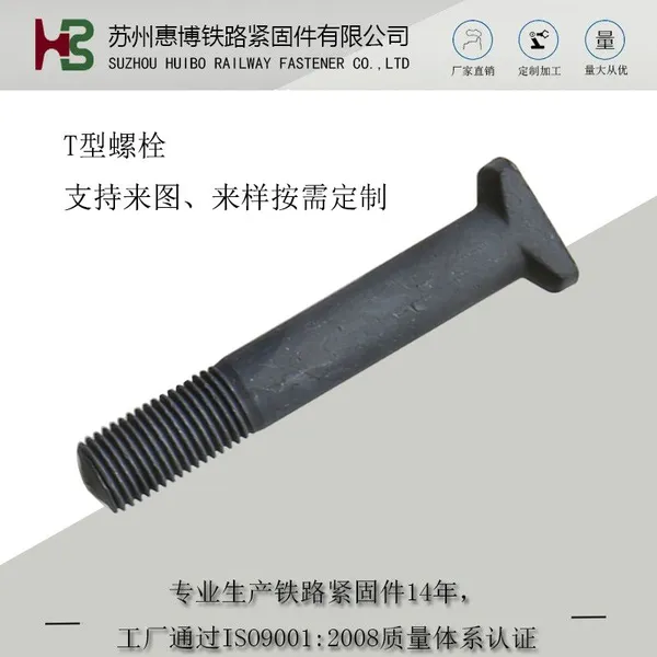 T-bolt T Head Bolts / T-Slot Bolts C1 S1 Clip Rail Nabla Fastening System For KS12 Tie Plate SKL12 Hs32 M22x55 65 M22x156 photo-2