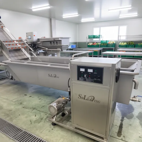 Automatic Commercial Vegetables and Fruit Washing Machine Stainless Steel Ozone Bubble Salad Leafy Vegetable Cleaner Equipment photo-3