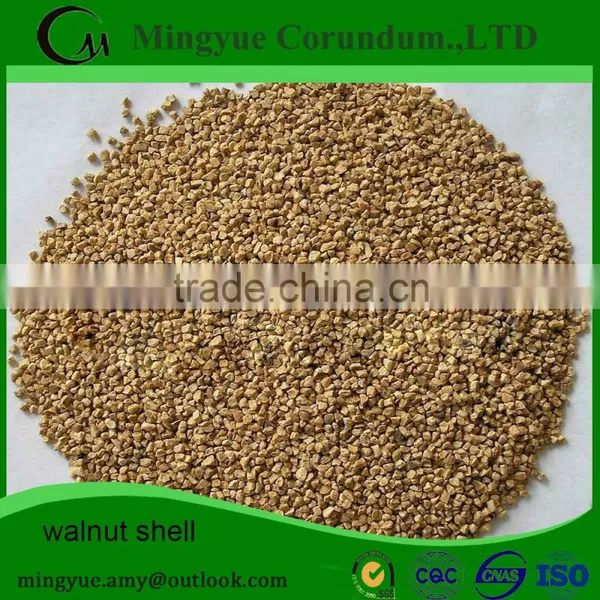 Organic Thin Shell Walnuts/Walnut kernel/Walnut in shell