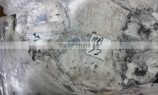 Frozen Cuttle Fish photo-2