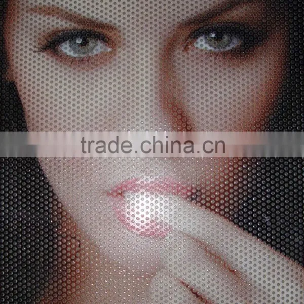 Unisign One Way Vision Pvc Vinyl