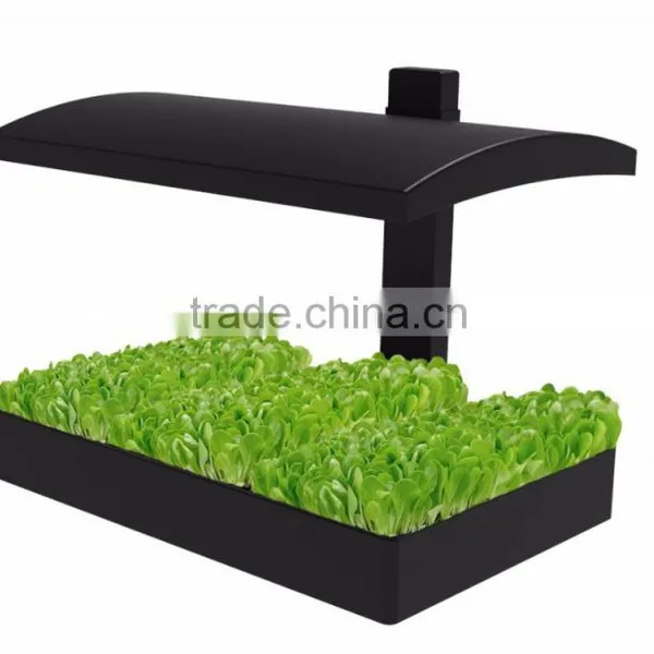 Grow Garden With Light