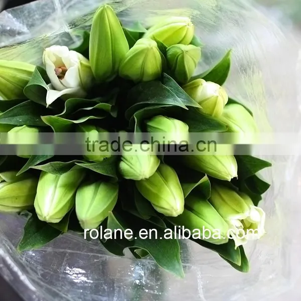 Cheap Whole Sale Lily For Cut Flower For Banquets photo-5