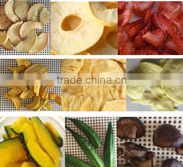 VF(vacuum Fried) Vegetable and Fruit Chips for Convenient Daily Life - VF Yellow Onion photo-3