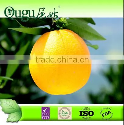 2014 Fresh Navel Orange Suppliers Wholesale