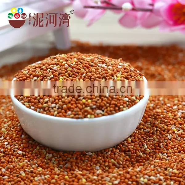 Best Price of Red Broomcorn Millet 2015 Crop Market Price photo-3