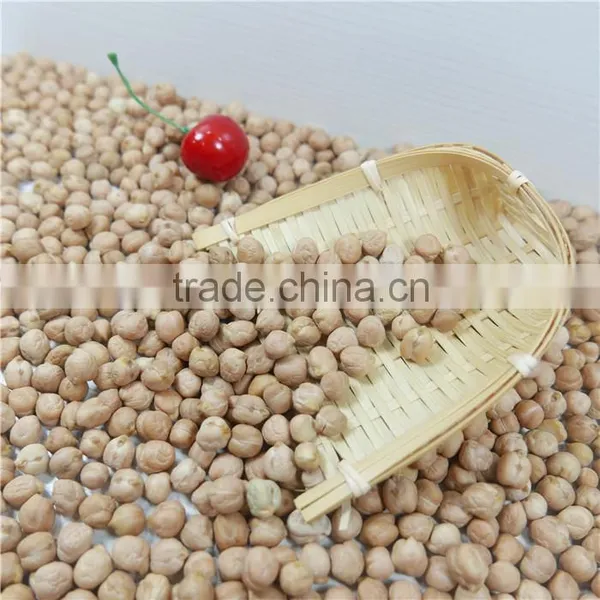 Good Manufacture of Chickpea Hot Sale photo-4
