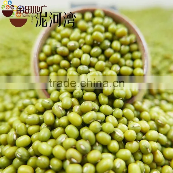 Green Mung Bean photo-5