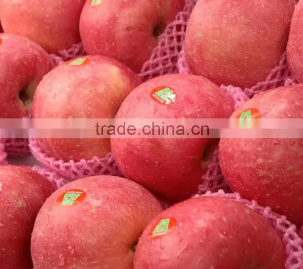 Fresh Fuji Apple photo-6