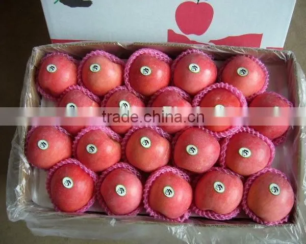 Hot Sale Fuji Apple photo-2