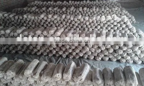 King Oyster Mushroom Spawn Growing Kit photo-4