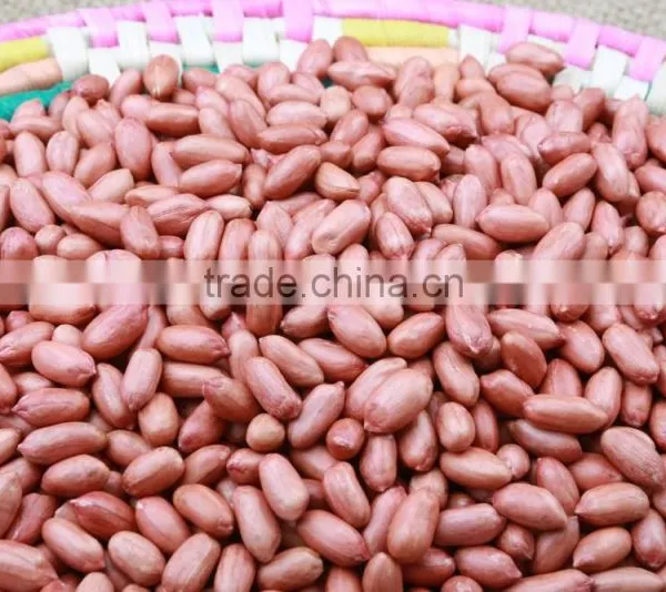 ROASTED PEANUTS