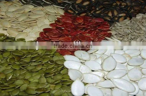 Roasted and Salted Snow White Pumpkin Seeds photo-6