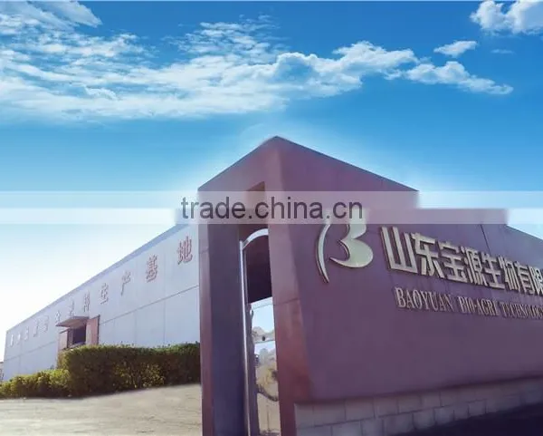 60% Organic Fertilizer photo-3