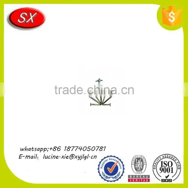 OEM Umbrella Head Galvanized Roofing Nails With Smooth Shank From China photo-6