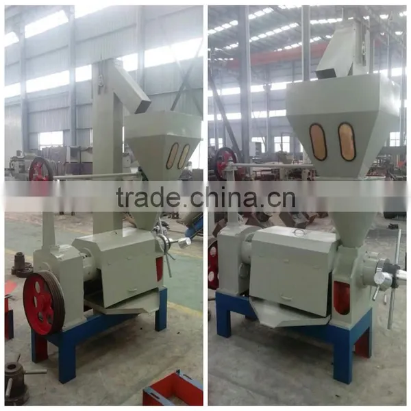 Sesame Baobab Seeds Cold Press Oil Machine photo-2