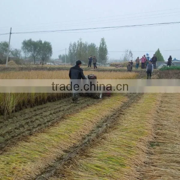 Multifunctional Mini Reaper Head in Harvesters photo-6