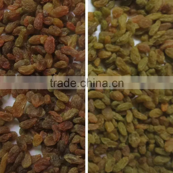 ZRWS Apricot Ccd Color Sorter Machine/raisins Color Sorting Mahcine photo-3