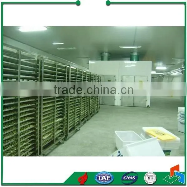 Fruit and Vegetable Tunnel Drying Machine Equipment photo-3
