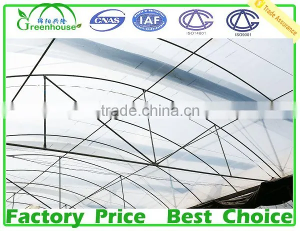 Multi Span Agricultural Type Poly Film Commercial Greenhouse photo-3