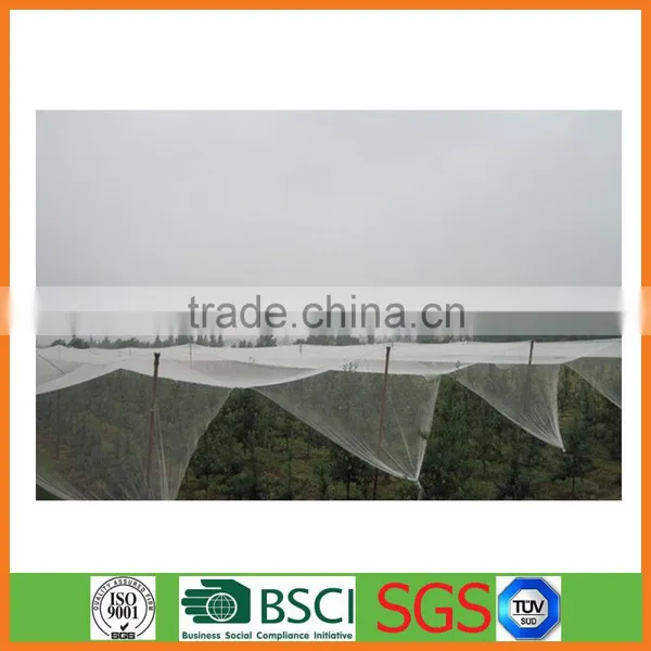 Anti Hail Net Garden Net Apple Tree Anti Hail Net photo-3
