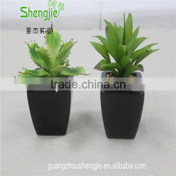 SJLJ013384 Artificial Plant / Fake Plastic Succulent Plant for Office / Restaurant Decoration photo-6