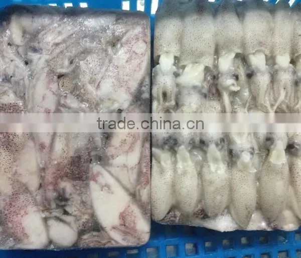 Block Frozen Baby Squid 500g/1kg photo-4