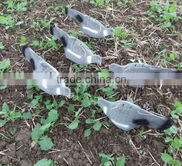 PIGEON DECOY BIRD PAINTED SHELL HIGH QUALITY photo-5