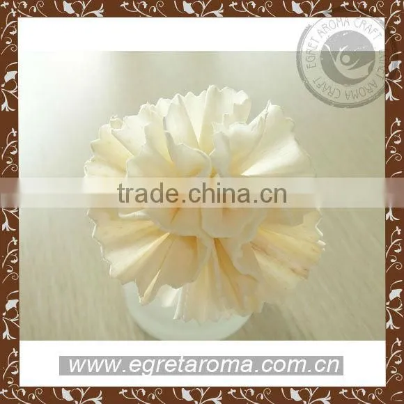 High Quality Factroy Direct Sale for Home Decorative Sola Flower Diffuser Sticks photo-6