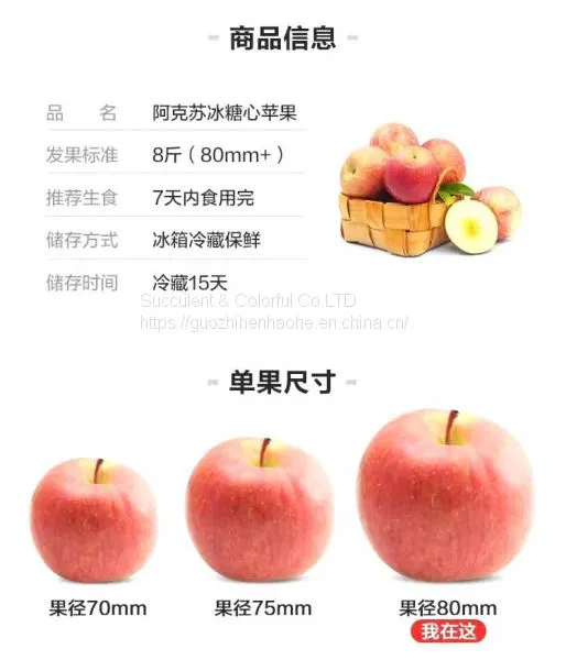 Apple photo-2