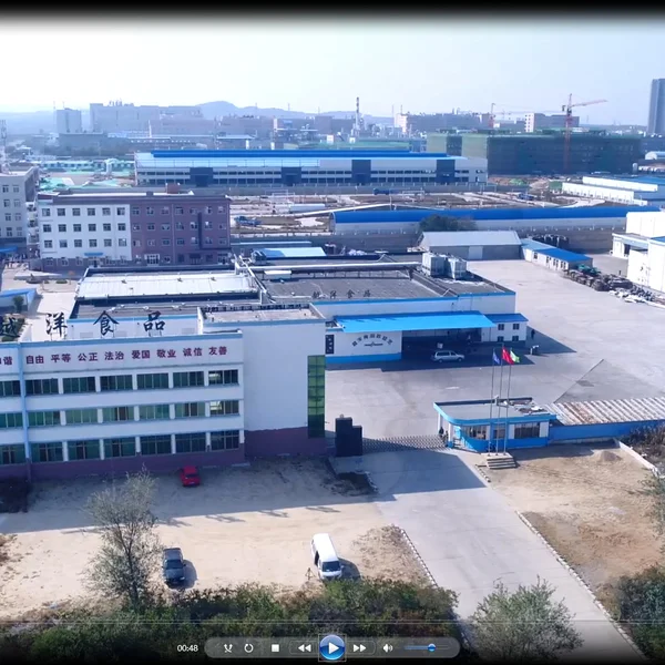 Yantai Transocean Foodstuff Co.,Ltd company overview - view 4