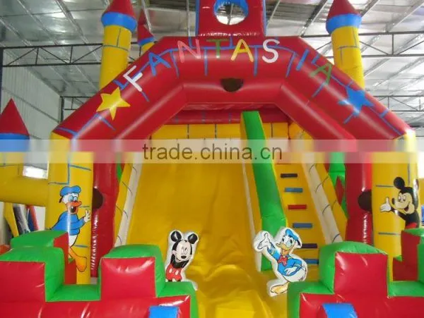 Best Quality Inflatable Water Slides Giant Inflatable Water Slide for Adult photo-4
