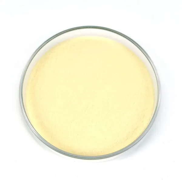 Norson Probiotics Lactobacillus Rhamnosus Freeze-Dried Powder 100B CFU/g NSL0401