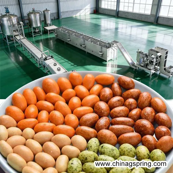 PLC Control Automatic Dry Roasted Peanut Coating and Coated Snack Production Line