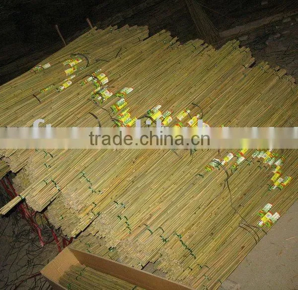 Bamboo Pole