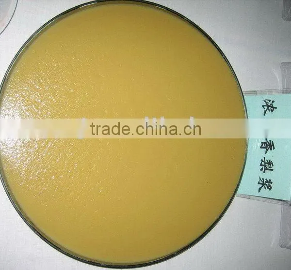 Pear Puree Concentrate photo-2