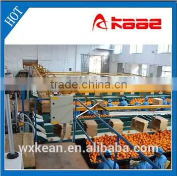 Fruit and vegetable photoelectricity fruit grading machine manufactured in Wuxi Kaae