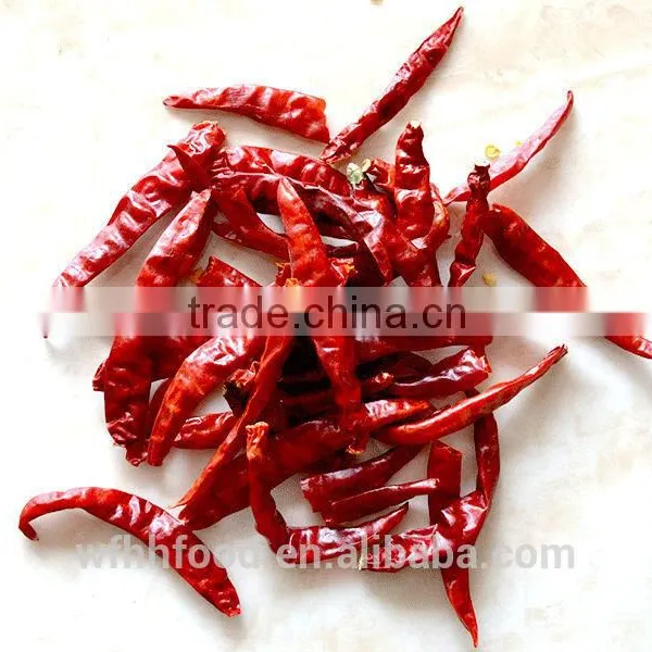 India for Distributor S17 s4 Red Chili photo-3