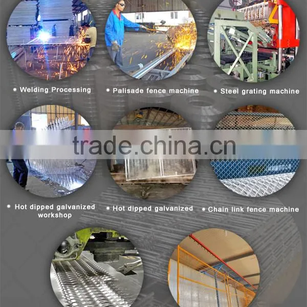 Trade Assurance Hot Dipped Galvanized and Pvc Coated Welded Mesh Wire Fence photo-4