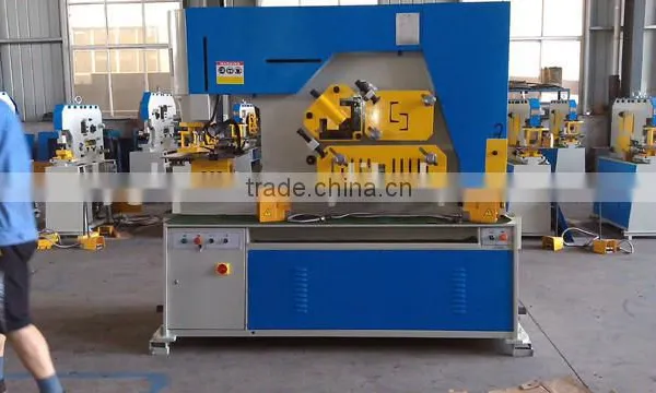 Dual Cylinder Direct Factory Sales Hydraulic Ironworker Machinery photo-5