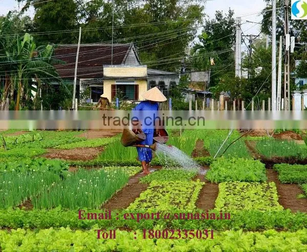 Neem Herbal Oil photo-2