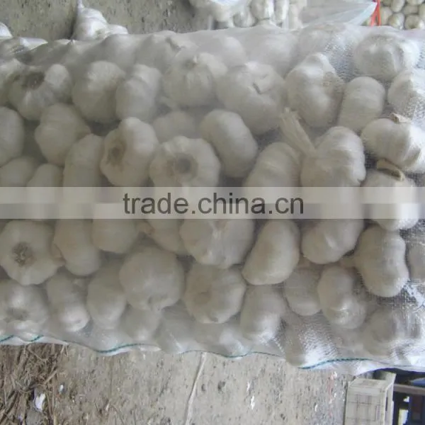 Chinese New White Garlic photo-5