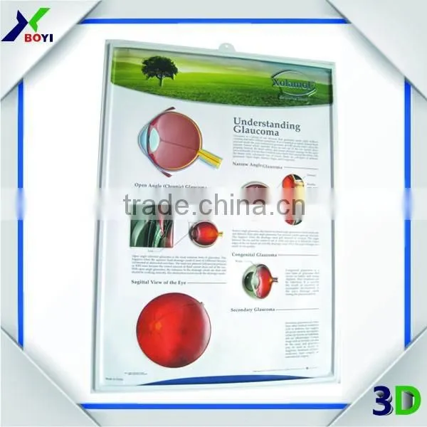 Embossed Pvc 3d Medical Poster/anatomical Chart (pregnancy) photo-5